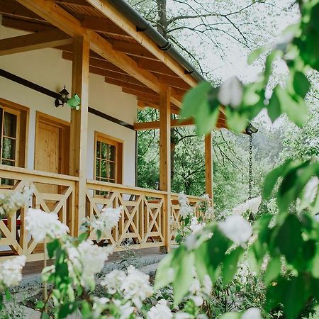 Cosama Village Сигишоара Экстерьер фото