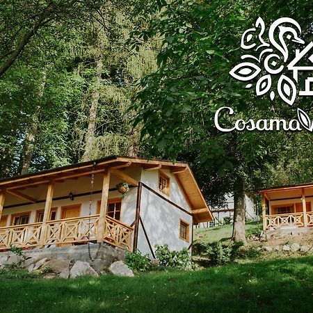 Cosama Village Сигишоара Экстерьер фото
