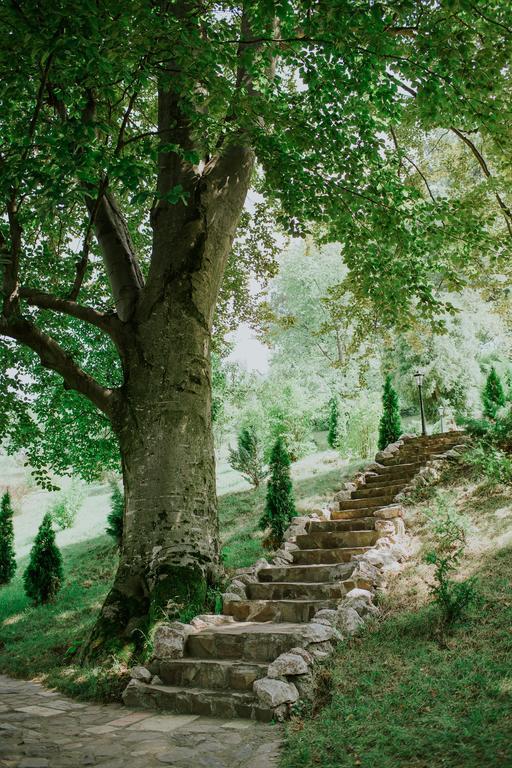 Cosama Village Сигишоара Экстерьер фото