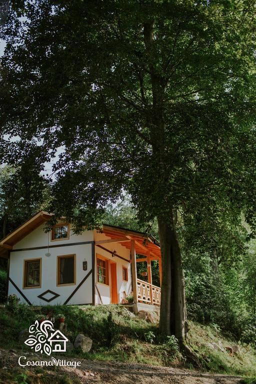 Cosama Village Сигишоара Экстерьер фото